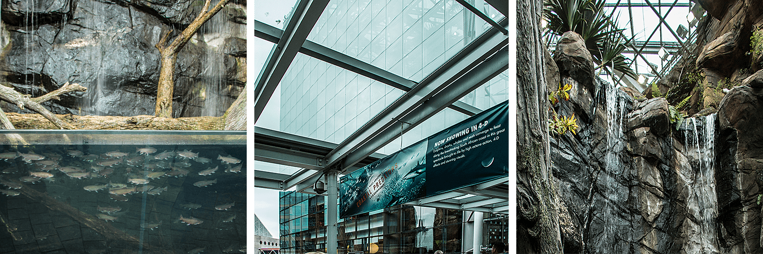 Baltimore, Inner Harbour, born4travel.de